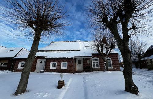 Lindenhuus-Urlaub unter einem Teilreetdach-Terrasse - Nahe Norden-Norddeich - Foto 38