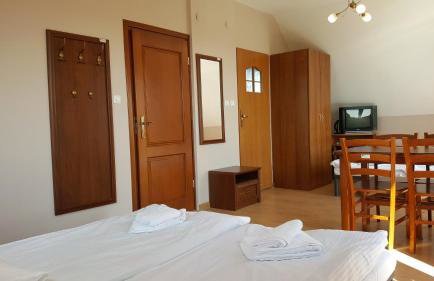 Willa Dzika Róża - Foto 7