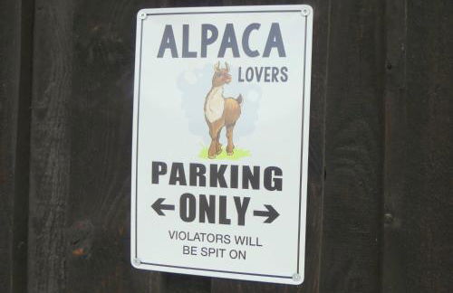Alpaka-Lodge - Photo 50