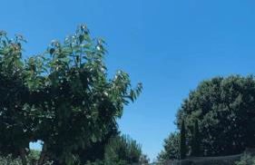 CAMPO DE SOBARBO - Guest House rural - Foto 66