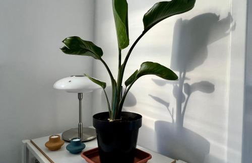 Ferienwohnung im Eifelidyll - Foto 11