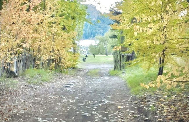 Amazing Cabin on the Shore of Lake Moreno H58 by Apartments Bariloche - Photo 26