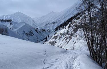 Grange de Marius - Authentique grange savoyarde - Foto 38