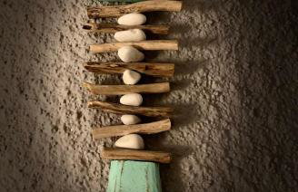 jasmine apartments - Photo 24