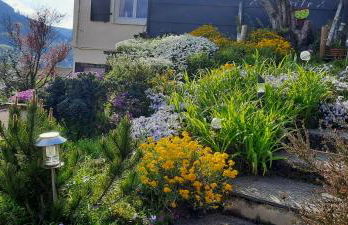 plain-pied proche base de loisirs et voie verte - Foto 13