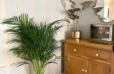 Hibiscus House - Foto 57