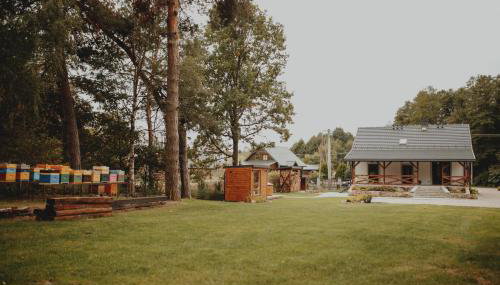 Pasieka Podlaska Tradycja - Foto 2, Garden, Garden view