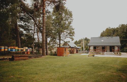 Pasieka Podlaska Tradycja - Foto 2