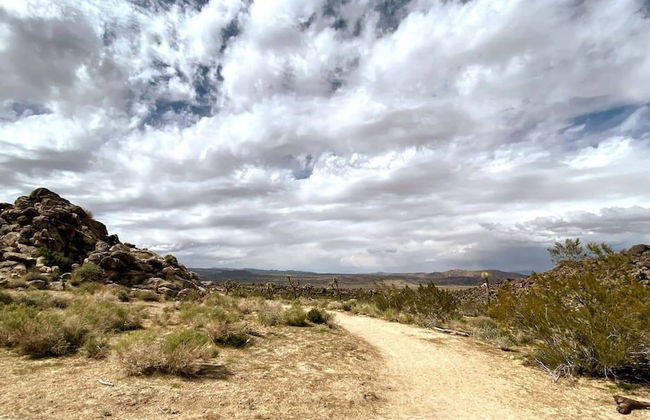 Cozy Rustic Home Minutes to Joshua Tree Nat l Park - Photo 31