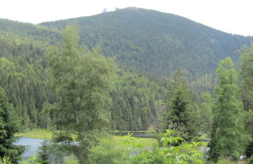 Ferienhaus Zopfhäusl - Foto 48