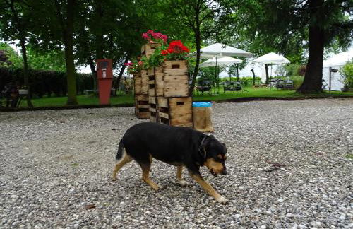 Agriturismo Le oche selvatiche - Foto 37