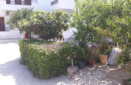 Pela Apartments - Foto 25