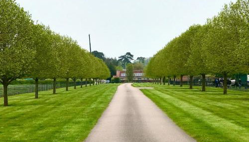 Family home-from-home cottage on working estate - Foto 3