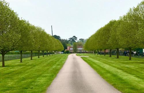 Family home-from-home cottage on working estate - Foto 3