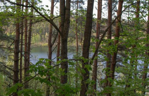 Gospodarstwo agroturystyczne nad jeziorem wśród lasów - Foto 16