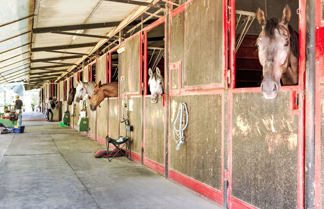 Tipologia Bilocale - Foto 52