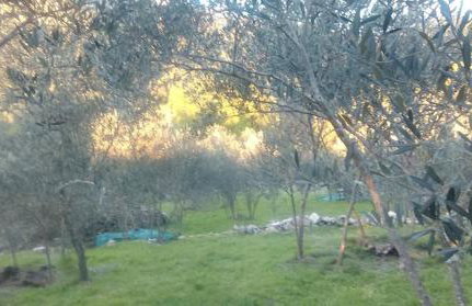 Cottage Melita the Apartment for Animal Lovers - Foto 35