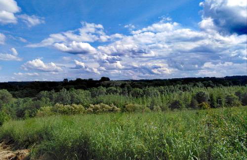 Maison située aux confins de la Vallée du Loir - Photo 7