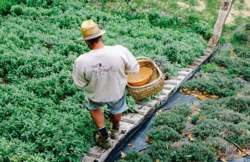 AGRITURISMO CA' FENILE - Foto 97