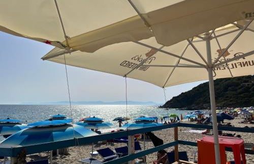 Casa Stewart - Levante - Foto 55