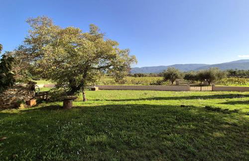 La Bastide de Chapelone - Foto 26