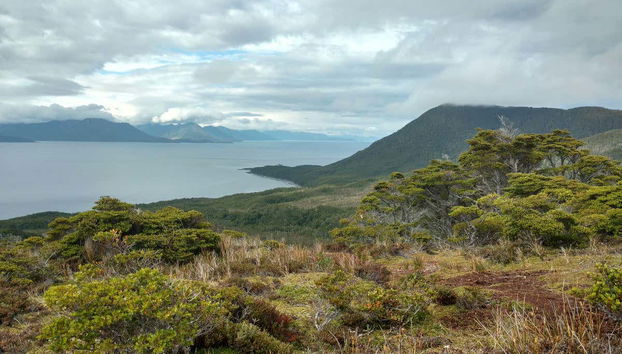 Vistas al estrecho de Magallanes
