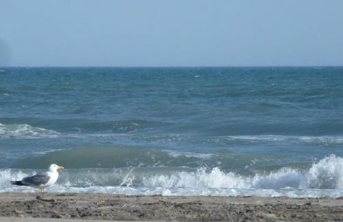 Maison au bord de mer - Foto 34