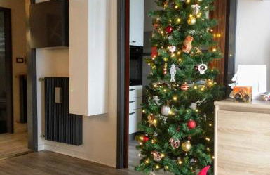 Regina del Bosco della vicina Cavalese - Foto 6