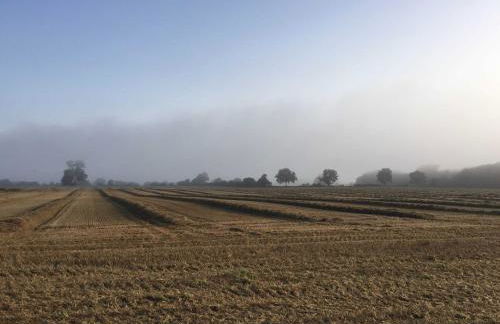 Reetdachkaten in Schuby, Ostsee - Foto 28