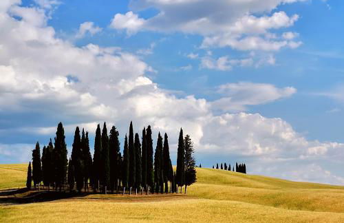 Guest House Manufacto - Foto 48