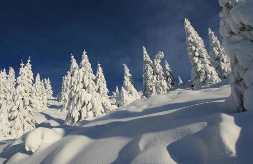 Chalet Laila - Foto 17