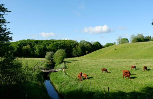 Landhaus Markerup - großzügig mit Kamin, Sauna & Spielhaus - Foto 40