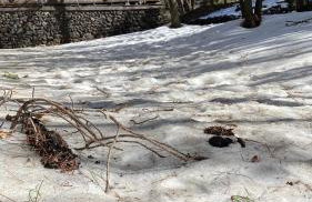 Woods Etna Chalet - Photo 29