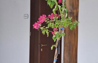 Agriturismo Marconi - Foto 16