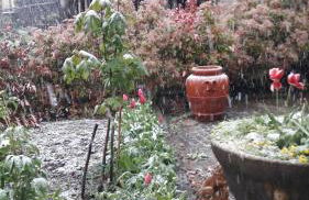 La gazza allegra - Foto 3