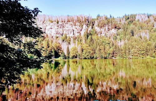 Ferienwohnung Waldkäuzle27 - Photo 23