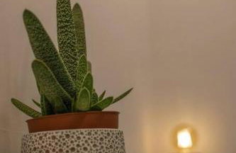 Theofilia Sea Side Studio - Foto 14