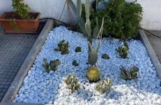 Midori-an 緑庵 - The Garden - Foto 2