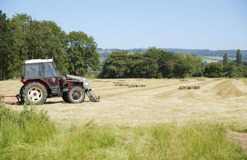 Orchard Farm - Foto 22