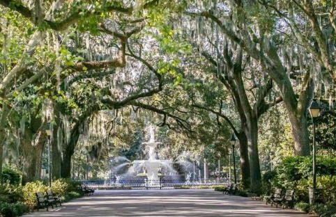 Starland Vacation Home - Foto 36