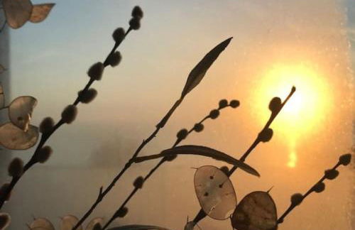 Stunning architect designed beachfront property - Foto 31