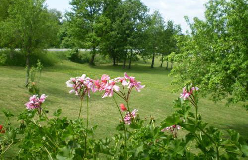Family friendly house with a swimming pool Blaskovici, Central Istria - Sredisnja Istra - 24748 - Foto 20
