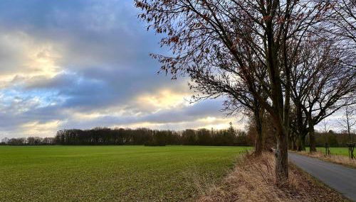 Ferienwohnung Landruhe - Foto 2