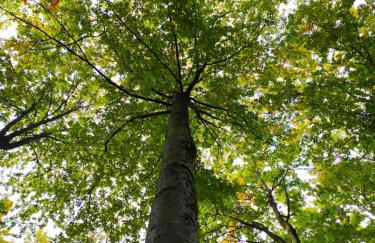 Paradise Apartments Paganella - Foto 23