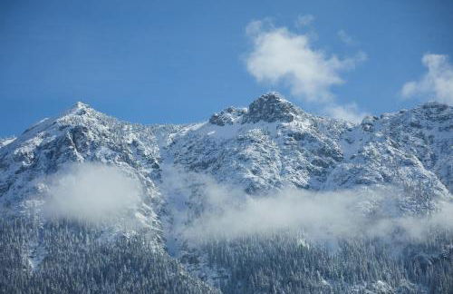 Ferienwohnung zum Hirschgarten - Foto 20