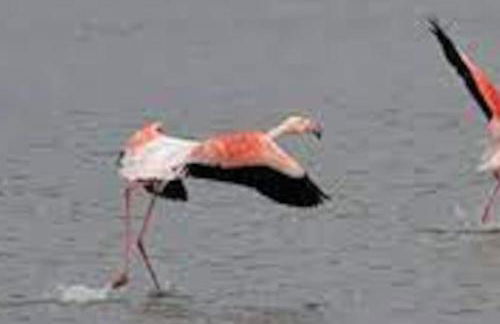 Gaia cottage with garden - Photo 21