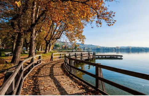 House of Camellias - Ground Floor with Garden - Foto 56