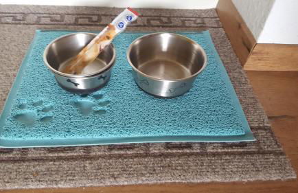 Ferienwohnung Zeitlos, gigantischer Seeblick, WLAN, gerne mit Hund - Foto 8