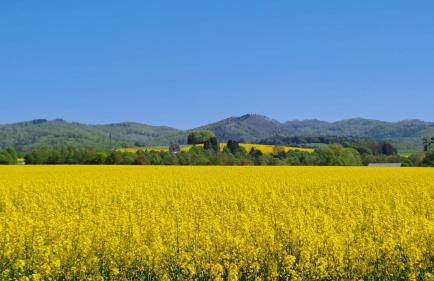 Apartment Hearzzeit - Foto 25