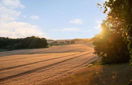 GUT KLETKAMP "Finkenhaus" - Idyllisch freistehendes Landhaus mit 3 Schlafzimmern und fantastischem Ausblick I 8 Personen I Offener Kamin I Garten I Wintergarten I Große Terrasse I Ruhig am Waldrand I Parkplätze I WLAN - Foto 12
